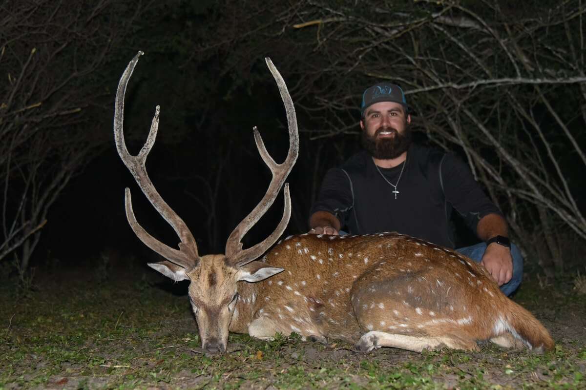 Axis Deer Packages & Fees