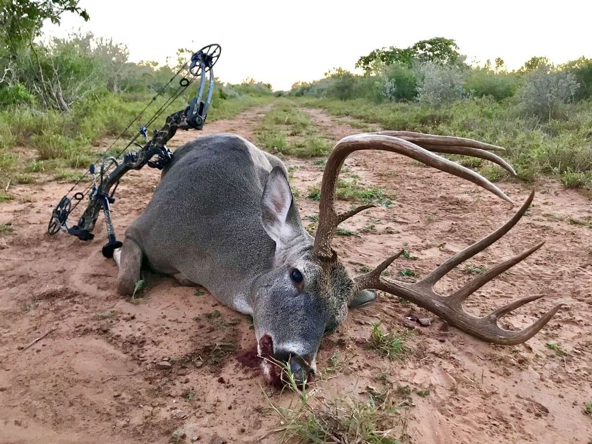 Trophy Whitetail Hunts