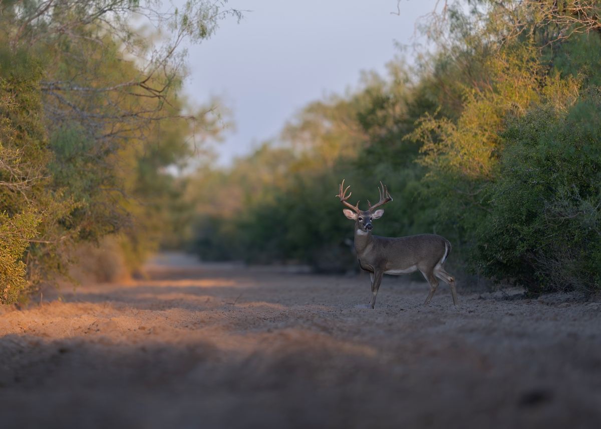 Nature Tours, Star Gazing & Private Events