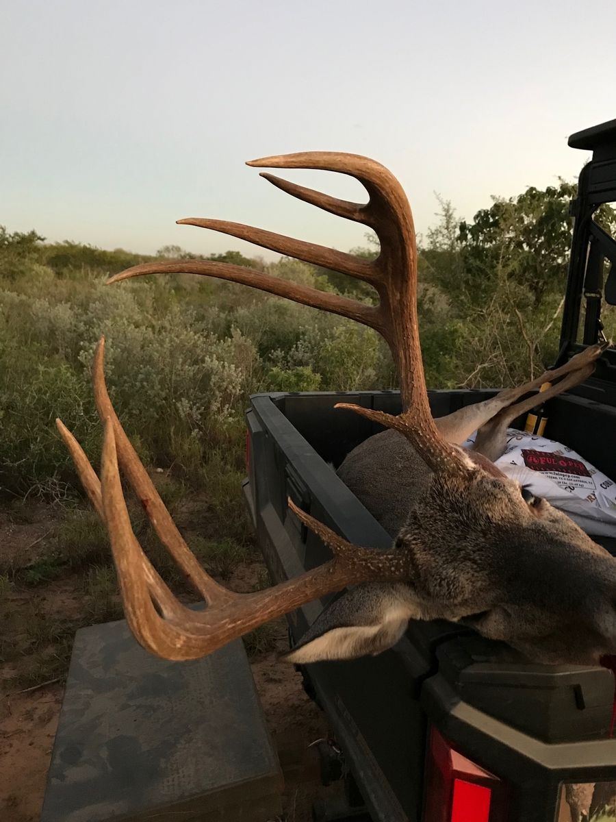 TexasWhitetail Hunting Trophy Rates