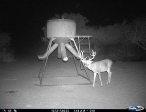 CuddeLink Trail Cameras 2020